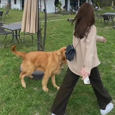 荷花淀、女人和枪